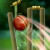 Cricket Hindi Quotes क्रिकेट पर उद्धरण