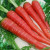 Carrot Health Benefits in Hindi गाजर खाएं सेहत बनाएं