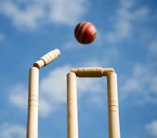 क्रिकेट से संबंधित उक्तियाँ Cricket Quotes in Hindi