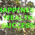Happiness Wealth Success