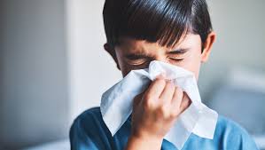 Differences between Cold, Seasonal Flu and Swine Flu Symptoms