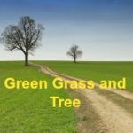 Green Grass aur Tree Hindi Short Story