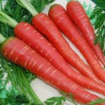 Carrot Health Benefits in Hindi